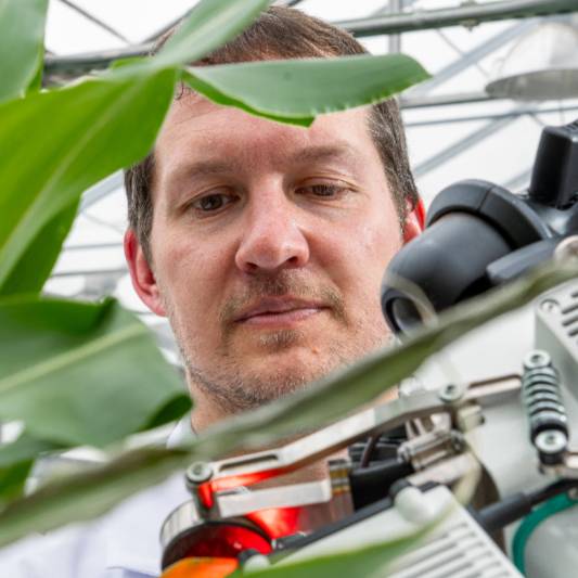 Michigan State University plant researcher Berkley Walker