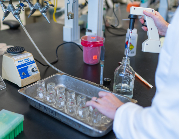 Preparation of twelve flasks in the Long Term Evolution Experiment