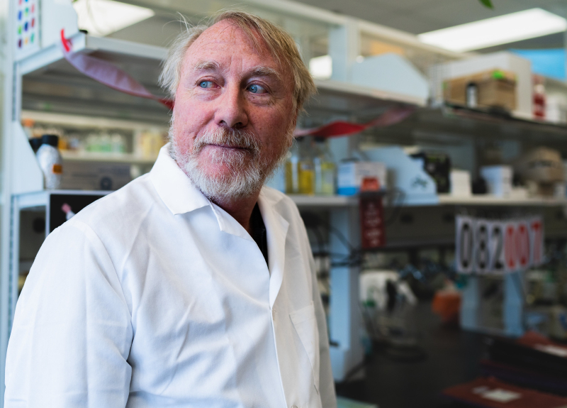 Richard Lenski in the Long Term Evolution Experiment Lab on the campus of Michigan State University.