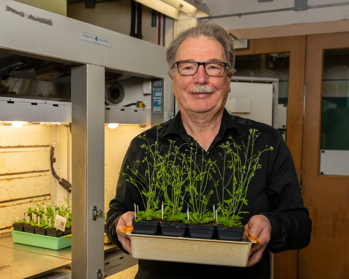 Christoph Benning stands in his lab, holding a tray of plants