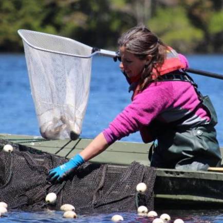 Woman in boat fishing using a large casting net and a net on a pole.