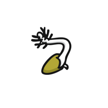 A graphic of a seed germinating