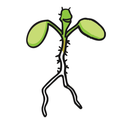 A graphic of a seedling