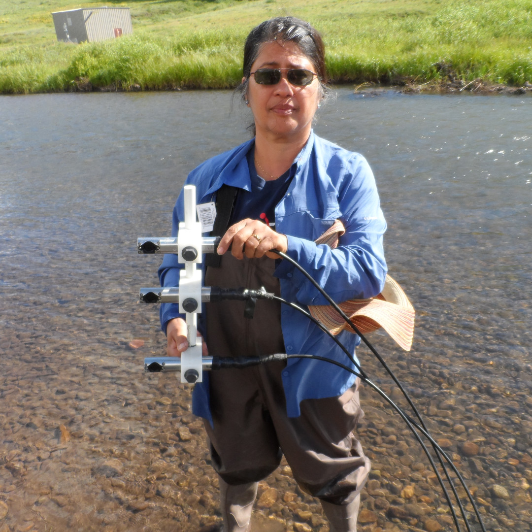 Three oxygen sensors prior to burial in the sediment of the stream bed to monitor dissolved oxygen dynamics continuously over 1.5 years at depths of 10 cm, 20 cm and 35 cm below the East River.