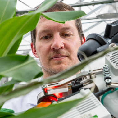 Man in lab coat looks at plant leaf in a machine clamp.
