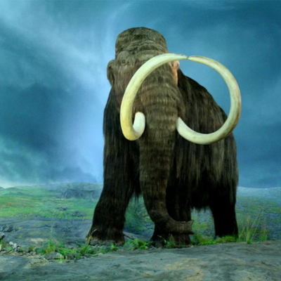 Giant beasts like mammoths and saber-toothed tigers once roamed the Americas but then they vanished.