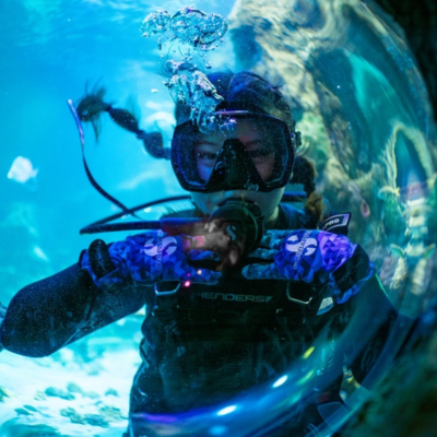 person in diving gear underwater and looking at the camera