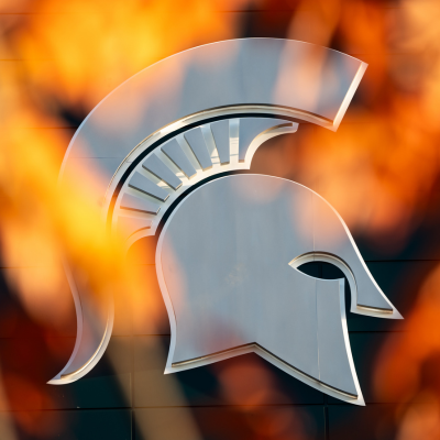 Spartan Helmet in silver surrounded by golden leaves