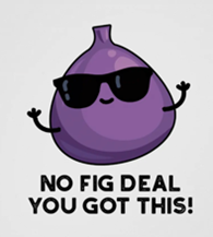 "No fig deal" meme