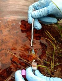 Image of microbial sample collection in Costa Rica