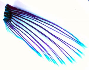 Image of gar fish fin