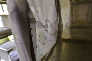 Image of mosquito netting