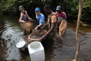 Image of research team collecting samples