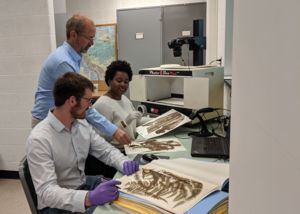 Image of Alan Prather and members of his lab preparing plant specimens for digitization