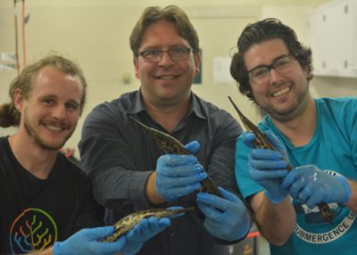Image of Braasch and his team members holding gar fish in the lab