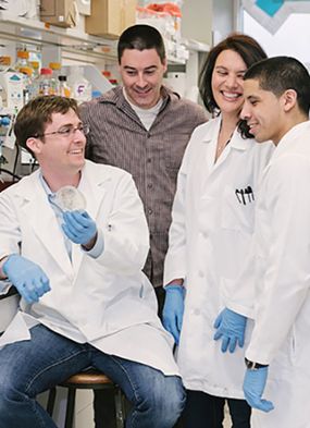 Chris Waters and members of his lab looking at a bacterial plate