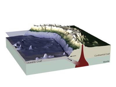 An illustration of a subduction zone