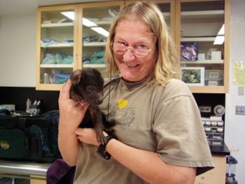 University Distinguished Professor Kay Holekamp in her lab with a baby hyena