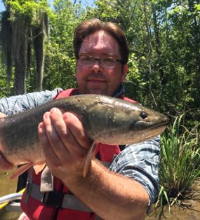 MSU Assistant Professor Ingo Braasch poses with a wild-caught bowfin