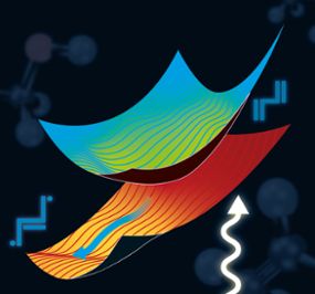 Artistâ€™s rendering of the potential energy surfaces involved in the internal conversion between the optically bright and optically dark states in s-trans-butadiene. 