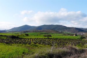 A traditional agricultural landscape in Spain.