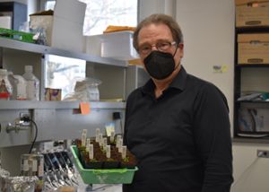 Benning in the lab with Arabidopsis plants