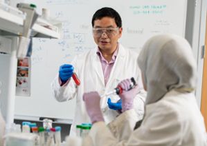 Xuefei Huang and Ph.D. student Zahara Rashidijahanabad working in the Huang Group lab. 