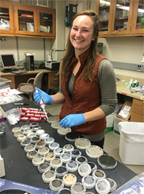 A photo shows Heather Kittredge in lab, holding a pipette near many sample containers.