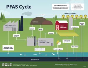 A figure showing the ways that PFAS can enter the environment.