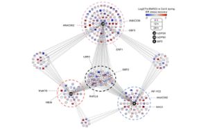 A gene regulatory network underlying ER stress responses, built on the protein-DNA interaction screen conducted in this study. 