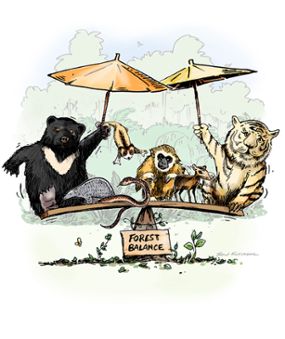 Cartoon depicting the "umbrella species" concept.