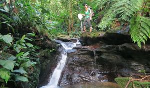 Sarah Fitzpatrick, assistant professor, stands near a stream in Trinidad.