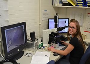 Former MSU graduate student Maggie Mohr at the microscope. 