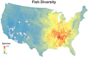map fish diversity