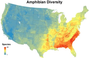 map amphibian diversity