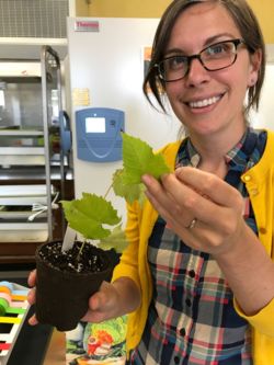 Dr. Marjorie Weber, Asst. Professor of Plant Biology