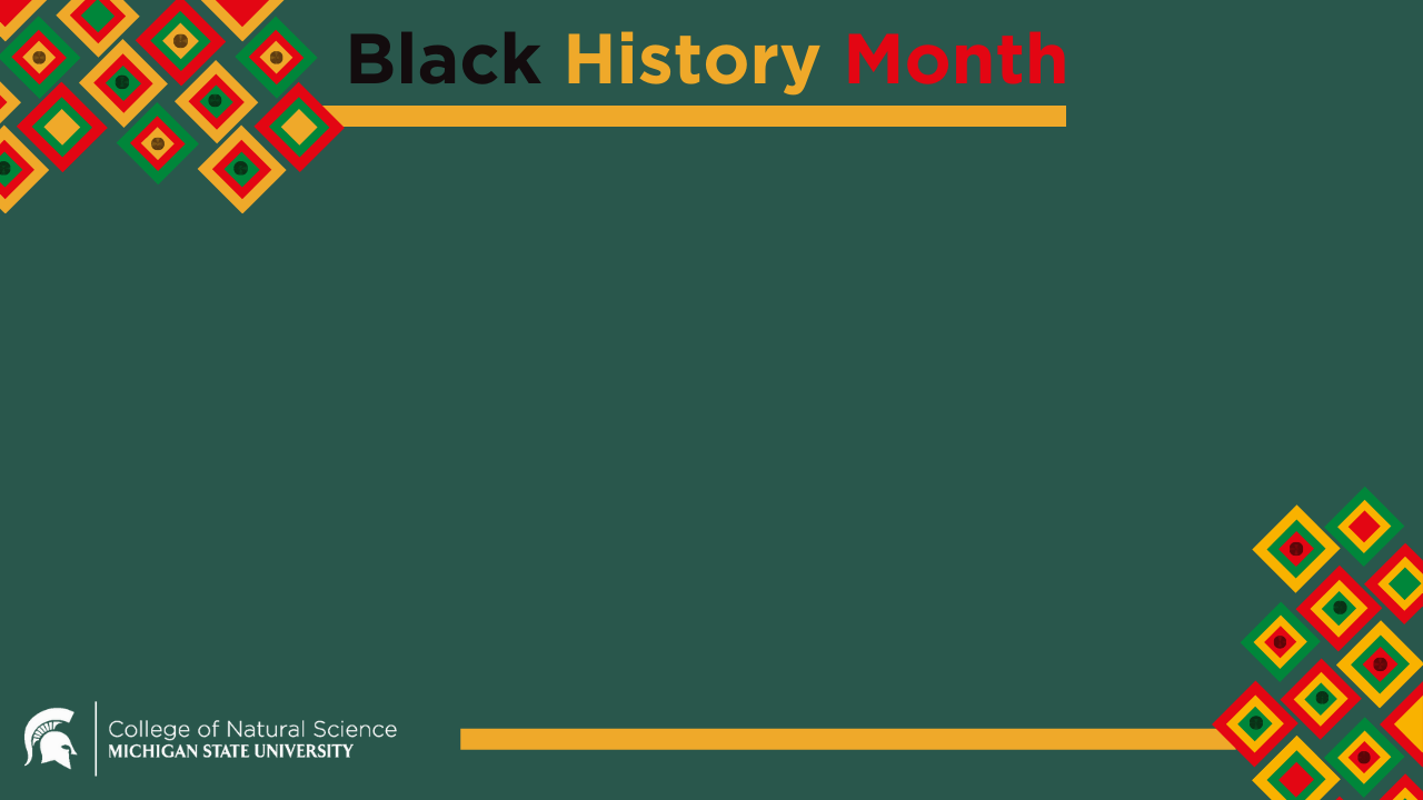 Black History Month Zoom Background