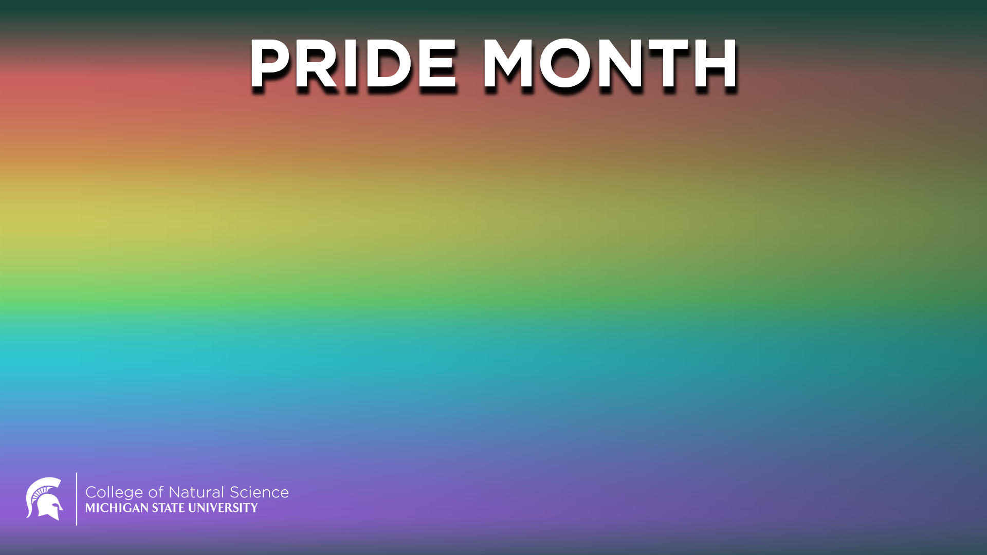 pride month zoom background